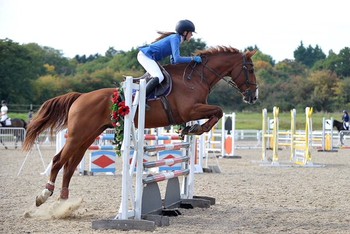 Lily Scott-Garret from Romford Essex, aged twelve secured three wins in the ‘Just for Schools’ League last month at Barleylands Equestrian Centre